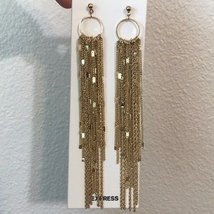 Express Long Tassel Drop Earrings